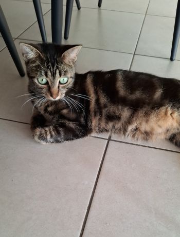 Avis client de Emma. B pour du pet sitting