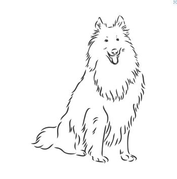 Avis client de Louse. G pour du pet sitting