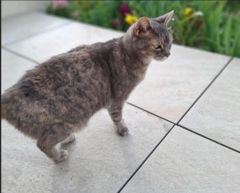 Avis client de Jacques . T pour du pet sitting