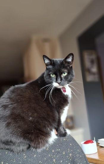 Avis client de Nathalie.D pour du pet sitting