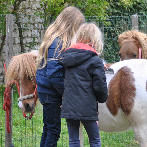 Médiation animale pour adultes et enfants dans le Loiret et la Seine et Marne