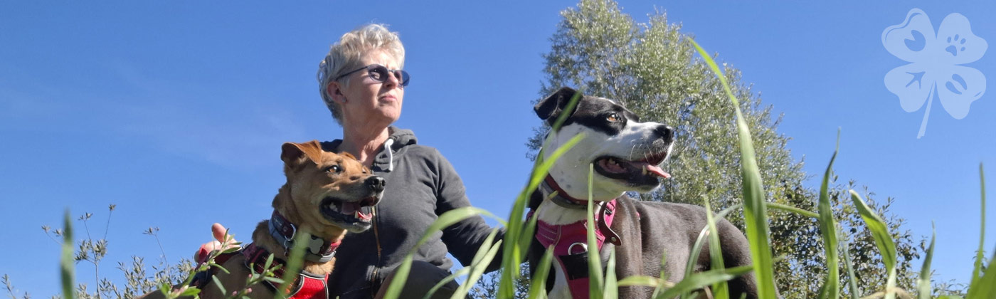 Le Trèfle des Pattounes, pet sitting pour vos animaux et médiation animale